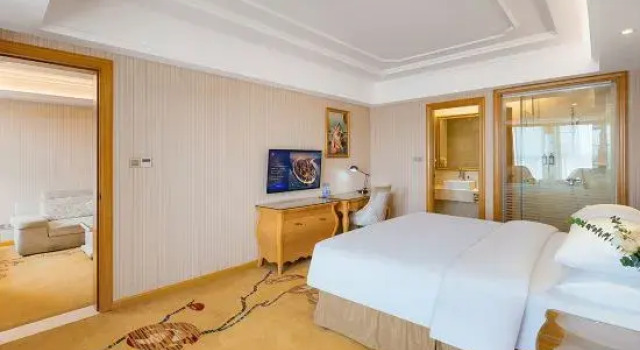 Люкс Deluxe Vienna International Hotel (Wuhan Tianhe Airport Panlongcheng Songjiagang Metro Station)