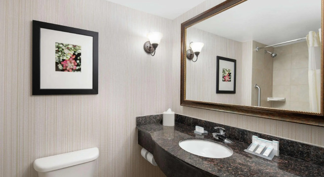 Двухместный номер Standard Hilton Garden Inn Denver Highlands Ranch
