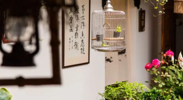 Suzhou Wutong Courtyard