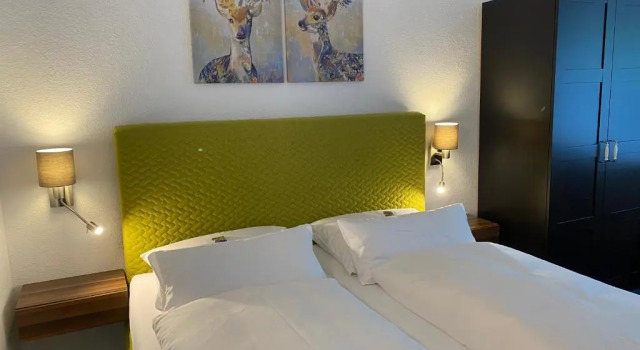 Номер Comfort Hotel Haus am Hochwald