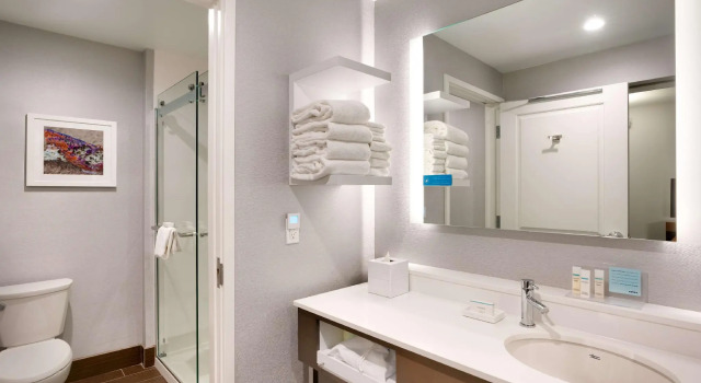 Двухместный номер Hampton Inn & Suites Anaheim Resort Convention Center