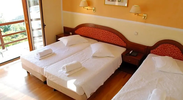 Standard room Delphi Palace