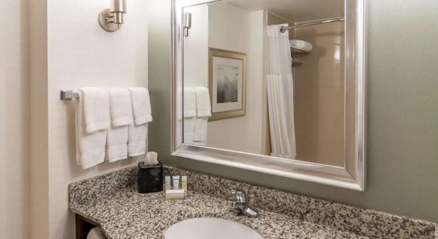 Номер Deluxe Hilton Garden Inn North Little Rock