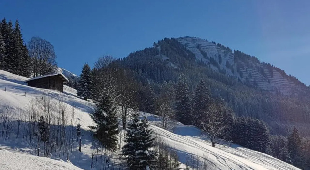 Gästehaus Margit Ott, Book Hotel Mittelberg Kleinwalsertal