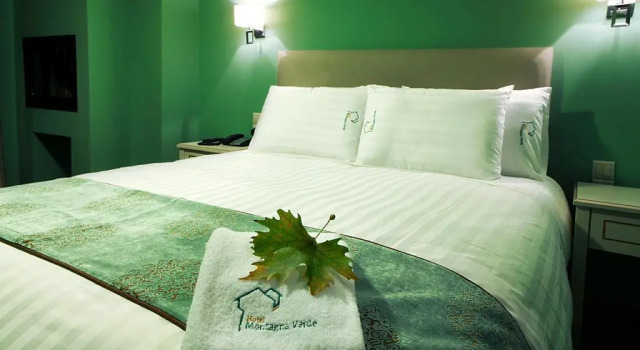 Hotel Montagna Verde, Book Hotel Volos 