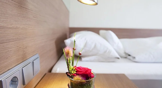 Номер Business Hotel Rieth
