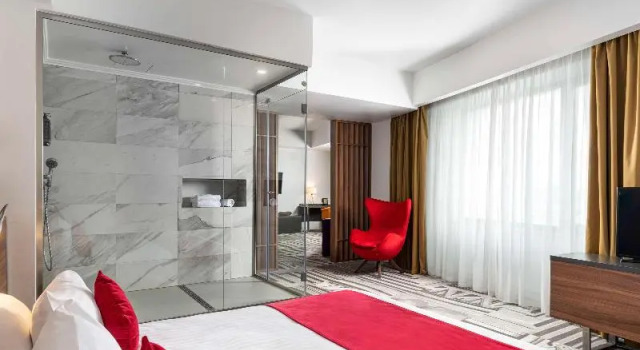 Люкс Deluxe Mercure Bucharest Unirii