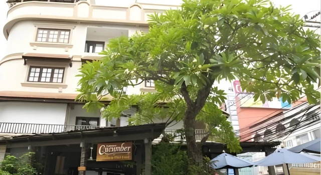 Cucumber Inn