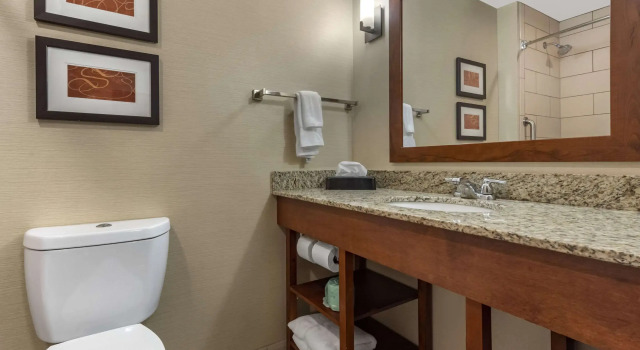 Четырёхместный люкс Comfort Suites Bridgeport - Clarksburg