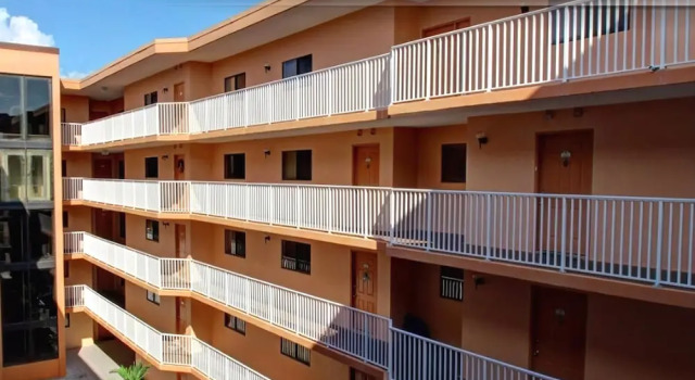 Beach Palms 402
