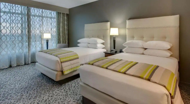Четырёхместный номер Superior Drury Plaza Hotel Dallas Richardson