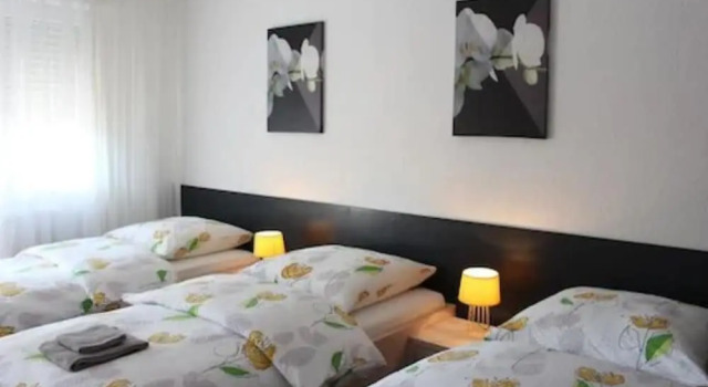 Студия с балконом Studios near Basel Airport - RM 114