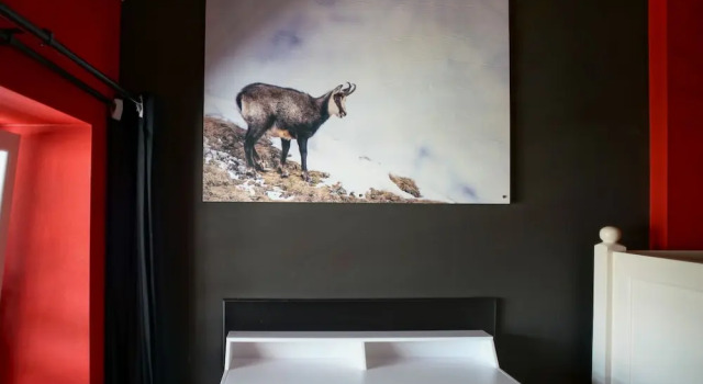 Alpenliebe Designhotel