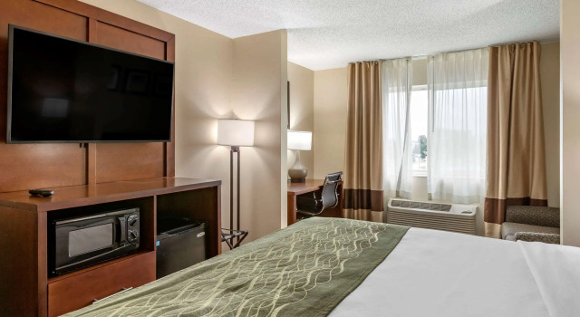Двухместный люкс Comfort Inn & Suites Dimondale - Lansing