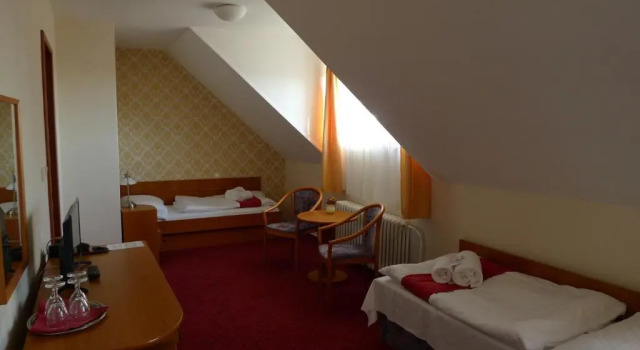 Трёхместный номер Standard Hotel U Černého orla
