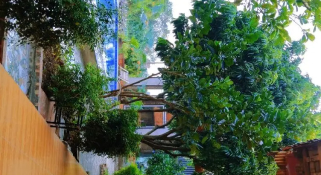 Семейный номер Standard Tam Coc Eco Field Nest By ANMS GROUP