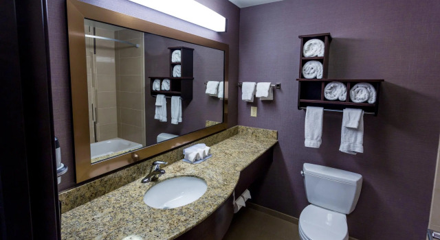 Номер Standard Holiday Inn Express Hotel & Suites Billings by IHG