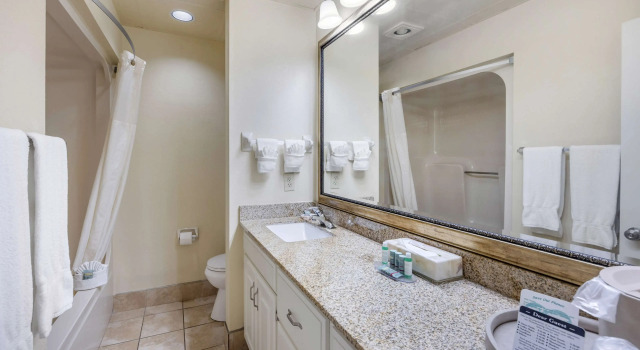 Двухместный номер Standard Best Western Spring Hill Inn & Suites