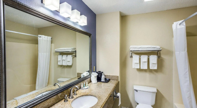 Двухместный номер Standard Quality Inn Charleston South