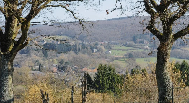 Wilgenhof