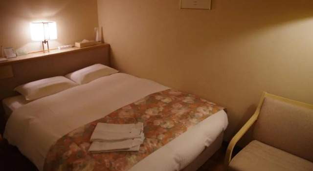 Двухместный номер Standard Gifu Castle Inn