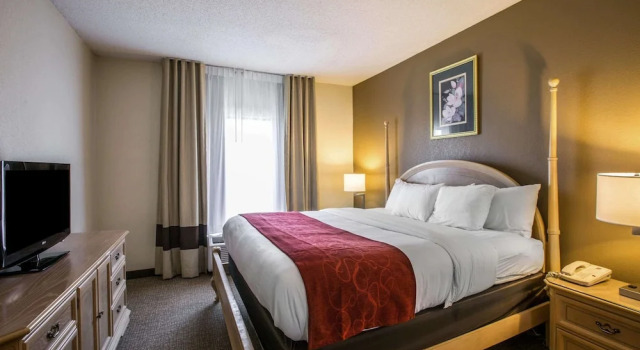 Luksusowy jednoosobowy suite Comfort Suites Morristown