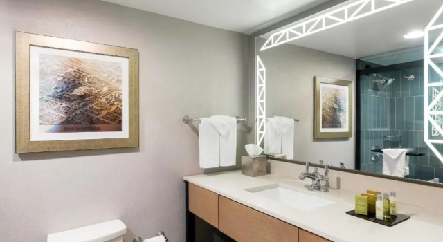 Двухместный люкс с 2 комнатами DoubleTree Birmingham Perimeter Park