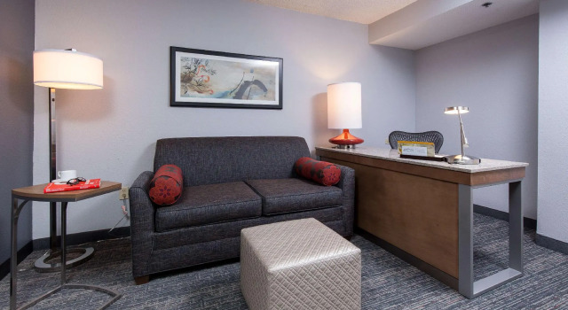 Двухместный номер Standard Hilton Garden Inn Atlanta North/Johns Creek