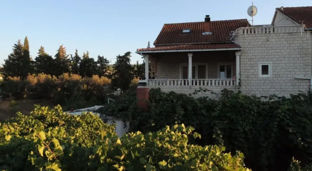 Jak - Comfortable Apartments - A1-donji, Rezerwuj Apartament Brac Island 