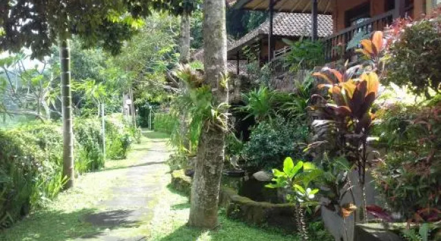 Kusuma Jaya On The Hill, Reservar Hotel Ababi Indonésia