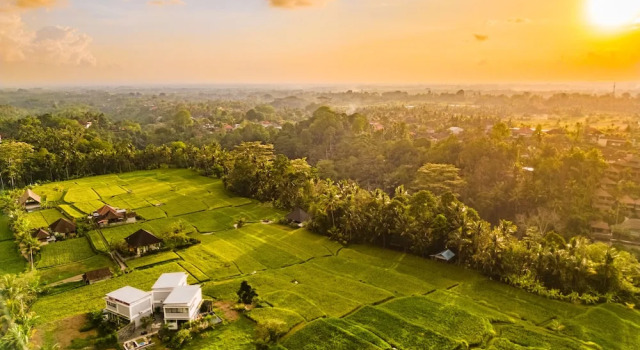 Вилла Maple Ridge Ubud Villas with Rice Field View