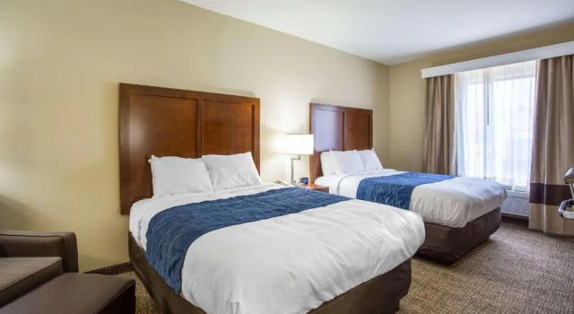 Четырёхместный номер Standard Sonesta Essential - Baton Rouge Airport
