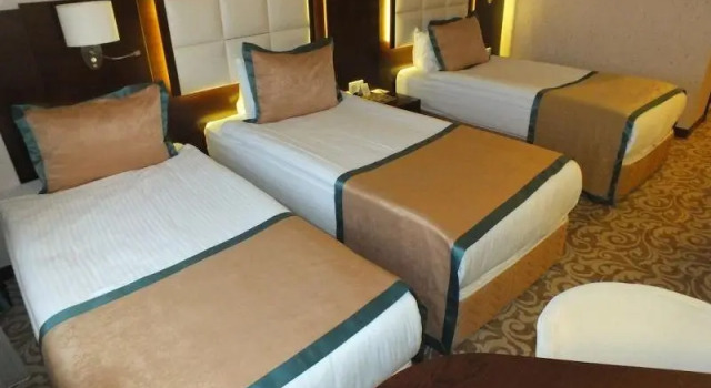 Номер Standard Asrin Park Hotel & Spa Convention Center