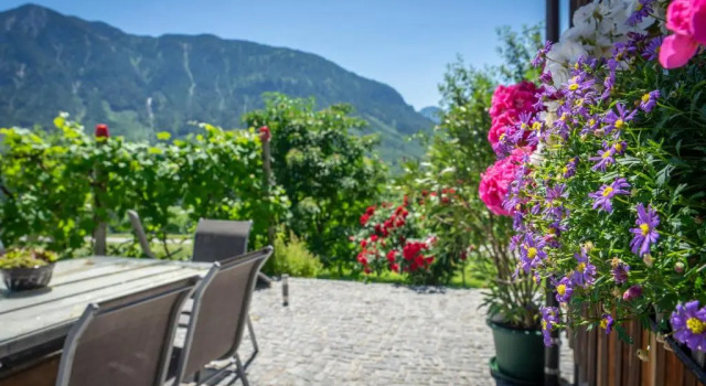 Коттедж Lovely house with mountain view & big garden in Bad Aussee