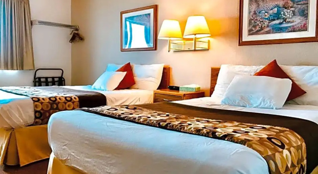 Двухместный номер Deluxe STAY INN Burlington