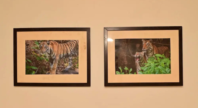 Двухместный коттедж Tigers Heaven Resort