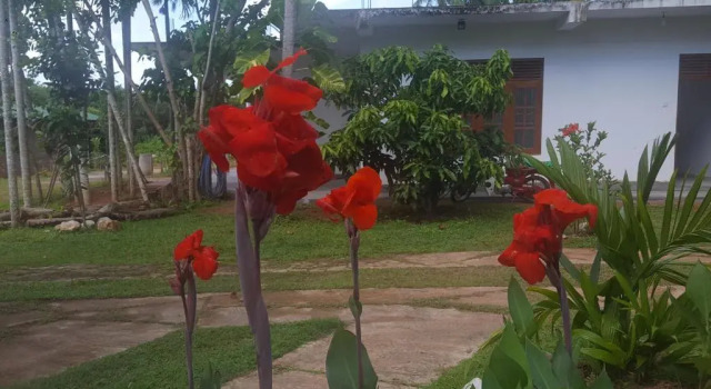 Вилла Thotupola Villa - Mirissa