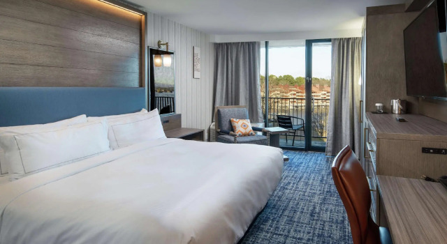 Двухместный номер Standard DoubleTree by Hilton Hot Springs