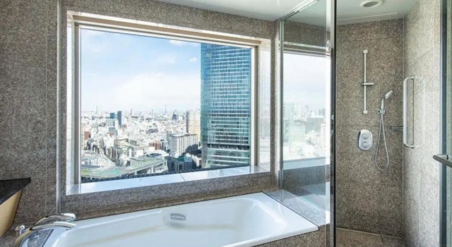 Двухместный номер Deluxe Cerulean Tower Tokyu Hotel, A Pan Pacific Partner Hotel