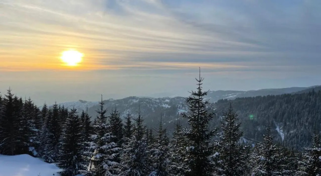 Zlatna Kruna - Lux Apartments Kopaonik, Забронировать Апартаменты/квартира Апартаменты Копаоник, рядом с Sunčana Dolina Ski Lift, Апартаменты/квартира