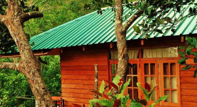 Номер Superior Ella Green Cottages