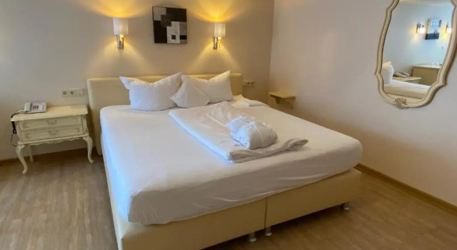 Одноместный номер Superior Hotel Ritter Badenweiler