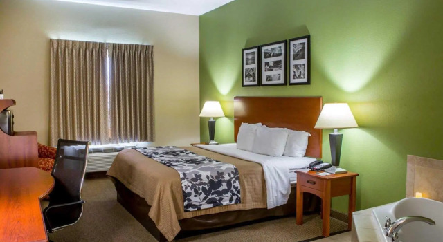 Люкс Sleep Inn & Suites Pearland - Houston South