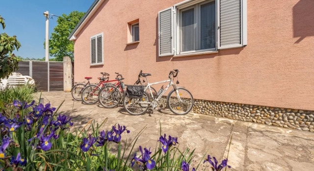 Villa Trkalj Zadarvillas
