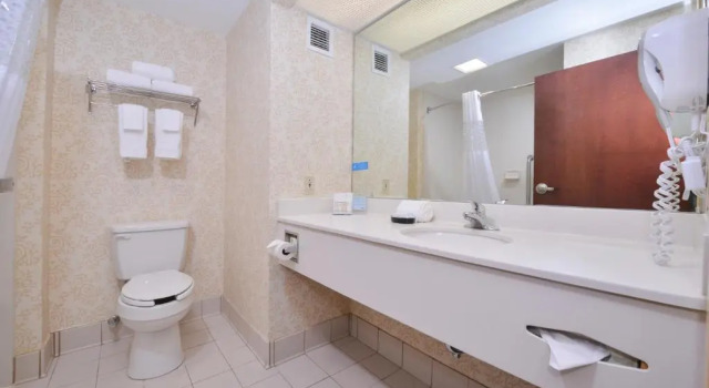 Двухместный номер Deluxe Hampton Inn Waynesboro/Stuarts Draft