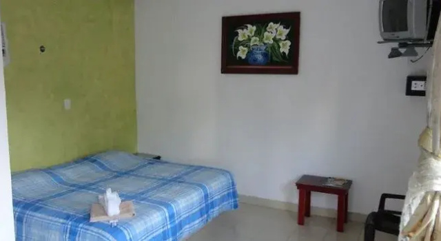Oyo Hotel Palma Real, Rezervasyon Otel Tulum havuzlu oteller, Yüzme Havuzu