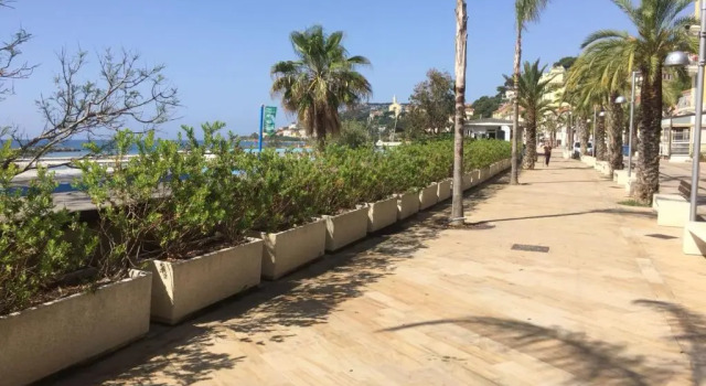 Marilena, Buchen Sie Hotel Taggia Blumenriviera