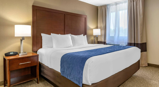 Двухместный люкс Comfort Inn Near Greenfield Village