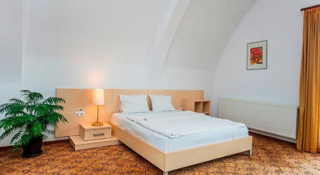 Люкс AselTur Brasov