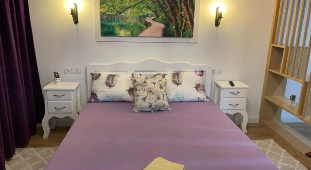 Апартаменты Apartament Gabriela 39